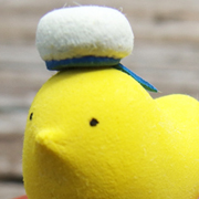 とりさんマリン